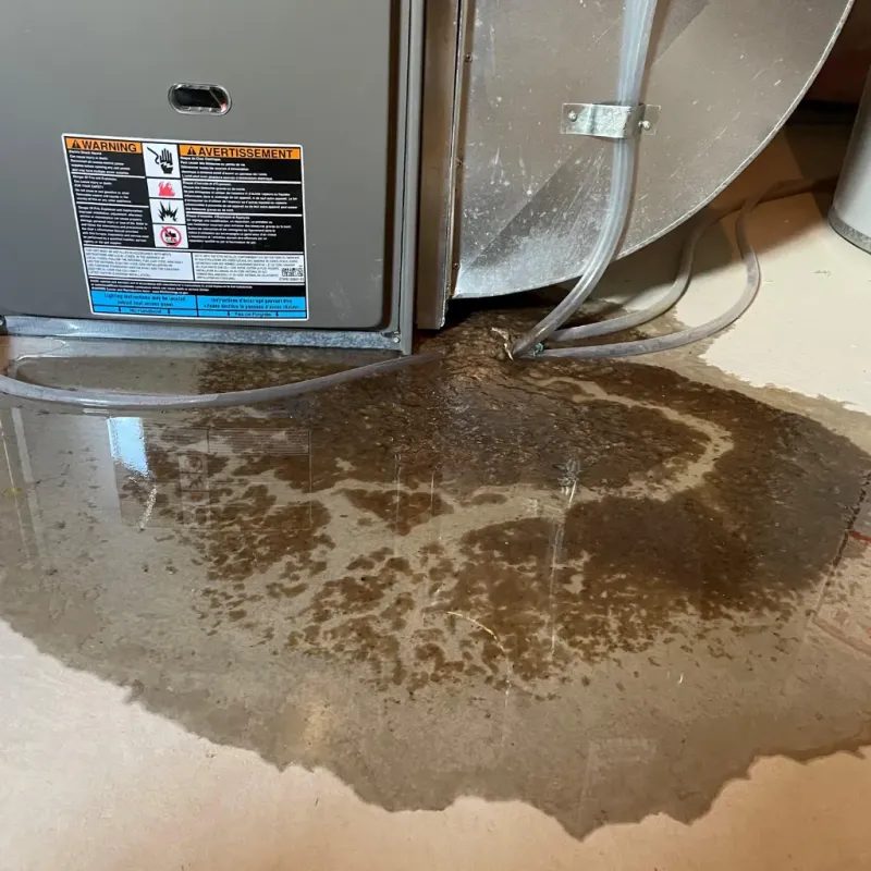 Appliance Leak Cleanup in Chelsea, MI