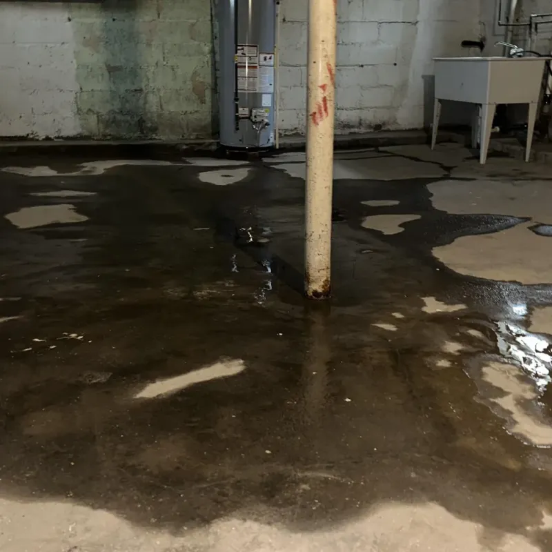 Emergency Water Extraction And Removal in Chelsea, MI